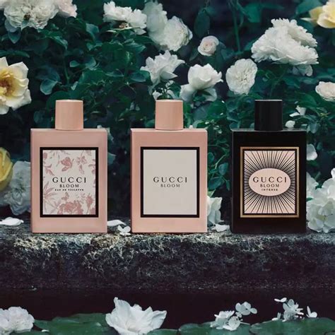 bloom by gucci|gucci bloom release date.